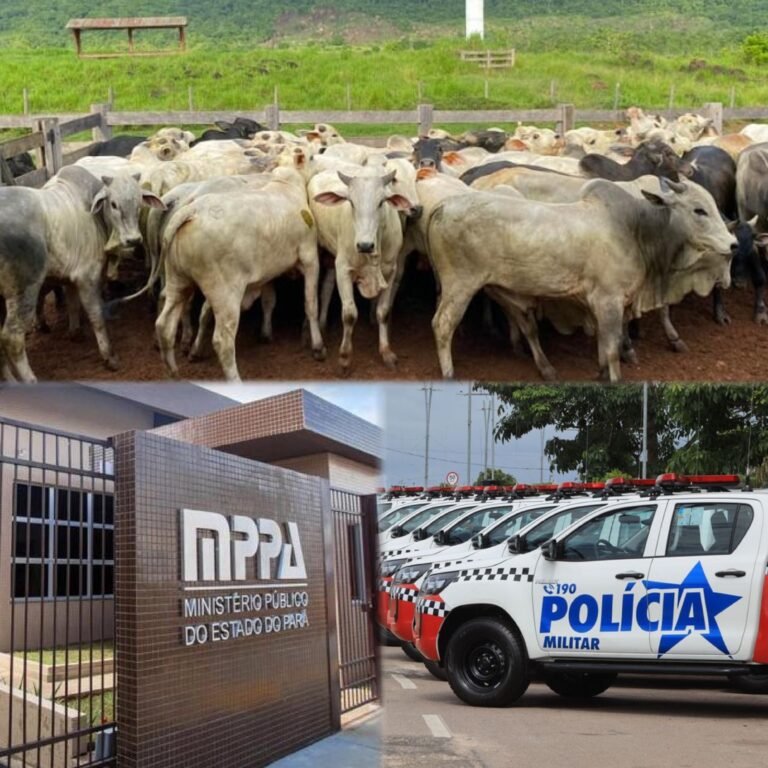Seis policiais militares são denunciados por furto de 448 cabeças de gado no Pará